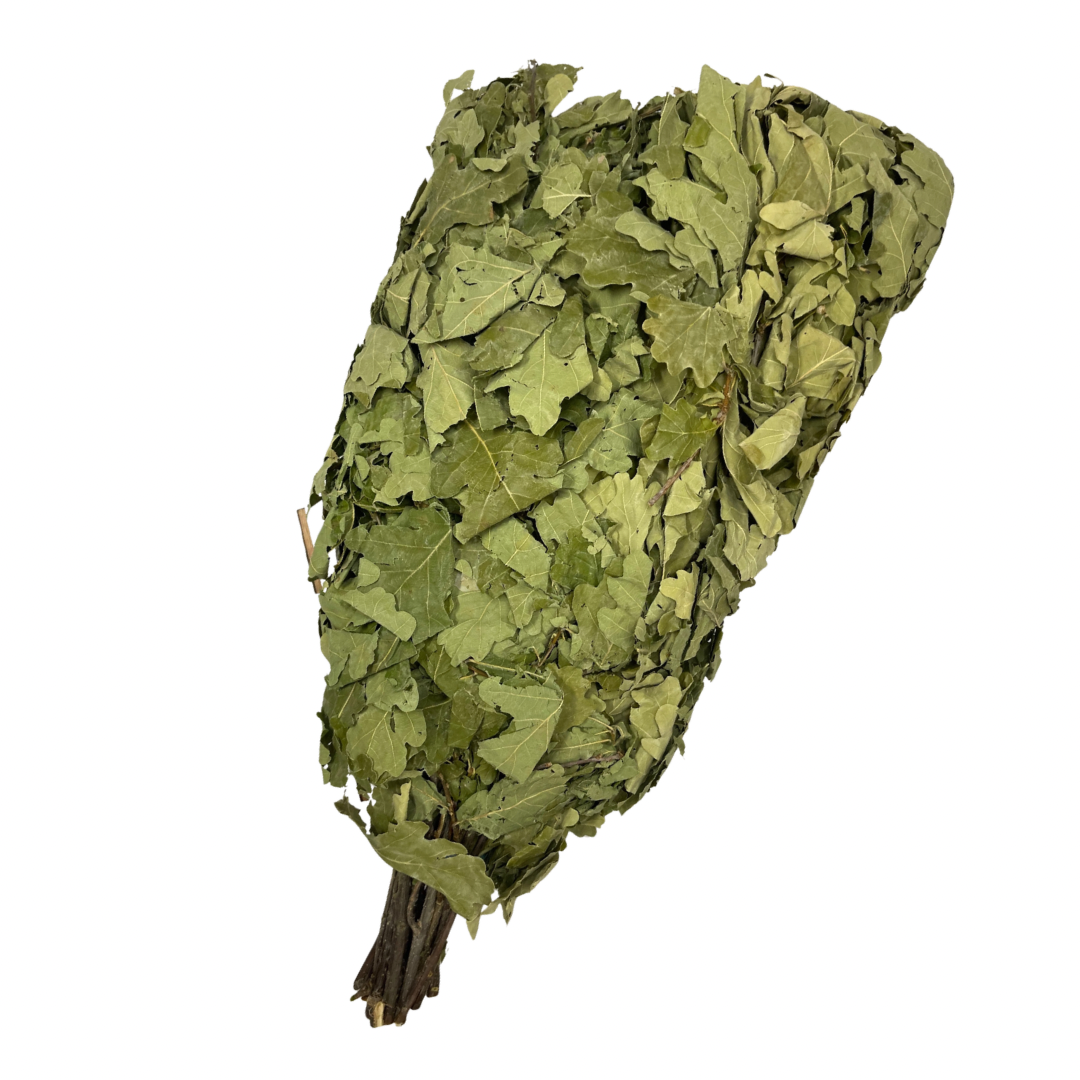 Untitled design - 13